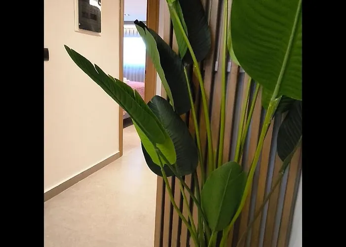 Panthea Luxury 1
